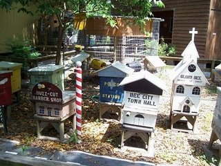 Bee City