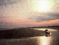 Hilton Head Island Beach