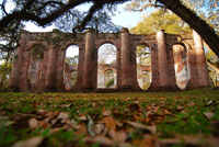 Old Sheldon Church